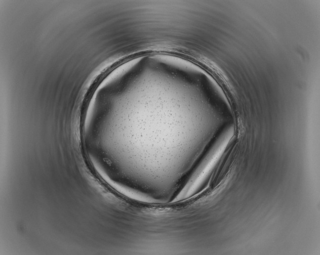 X0000113270939200910011425