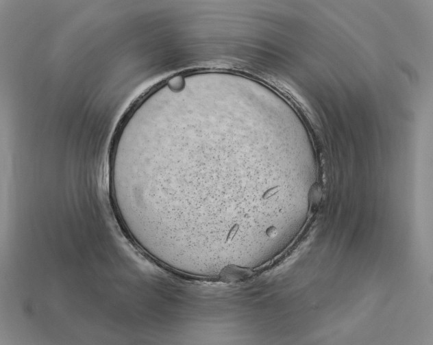 X0000113270940200910011425