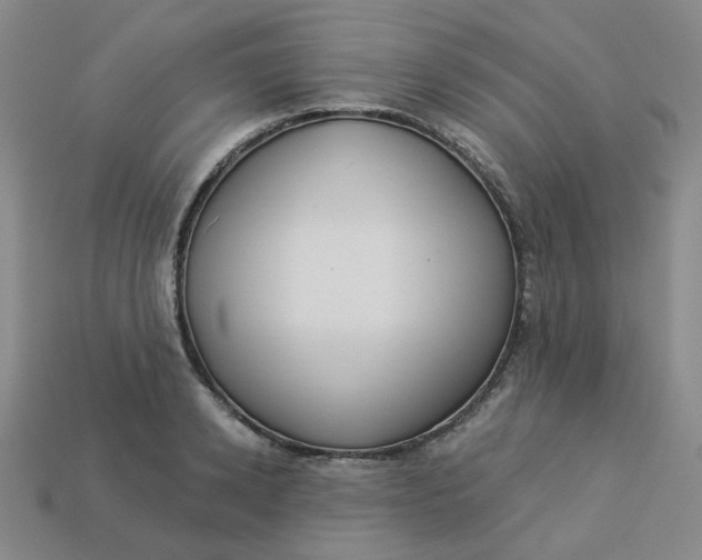 X0000113270942200910011425