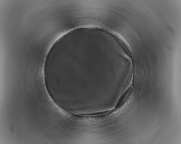 X0000113270943200910011425