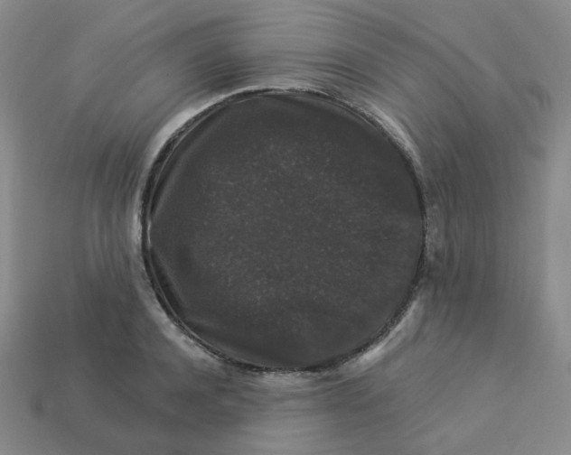 X0000113270944200910011425