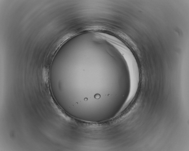 X0000113270945200910011425