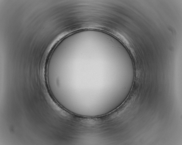 X0000113270947200910011425