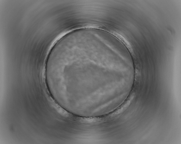 X0000113270948200910011425