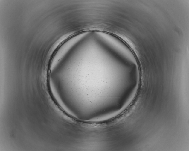 X0000113270949200910011425