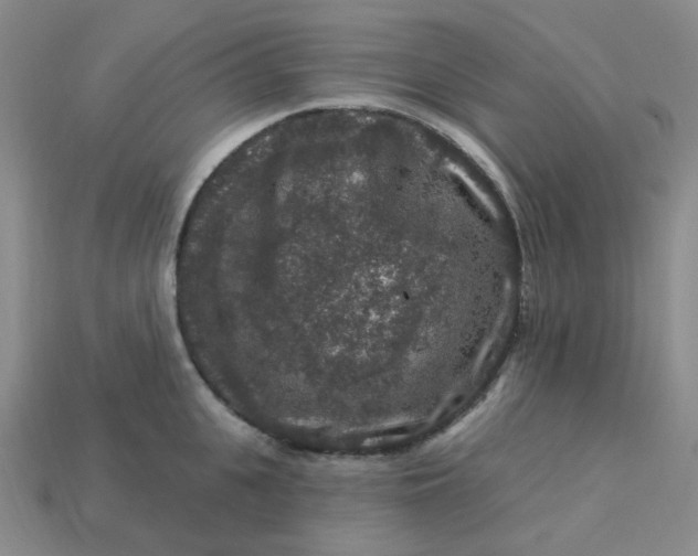 X0000113270951200910011425