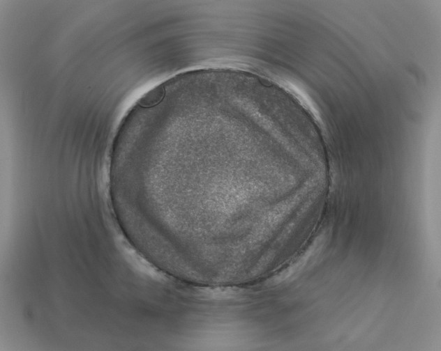 X0000113270952200910011425