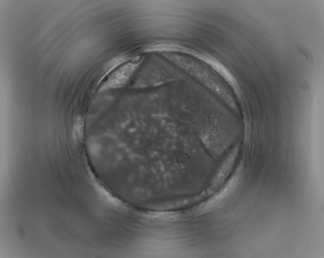 X0000113270953200910011425