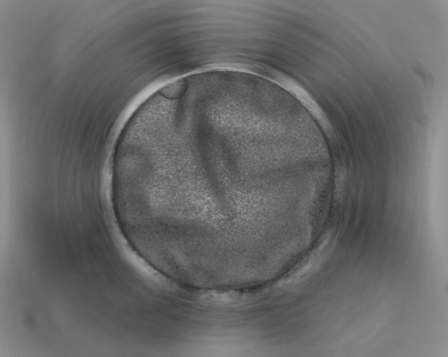 X0000113270955200910011425