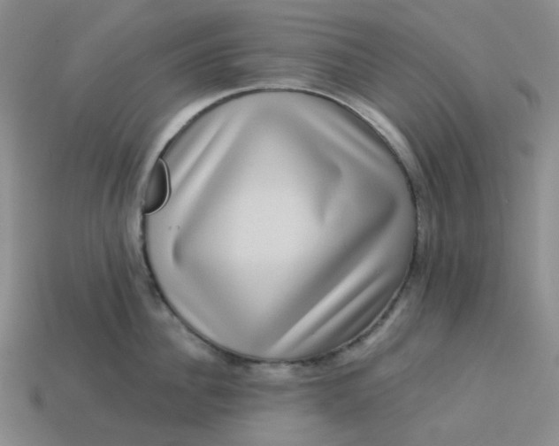 X0000113270956200910011425