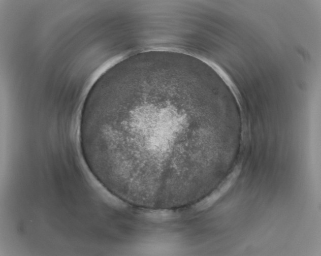 X0000113270957200910011425