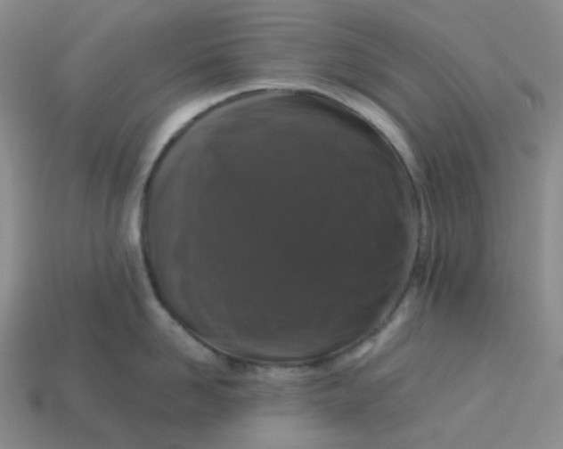 X0000113270958200910011425