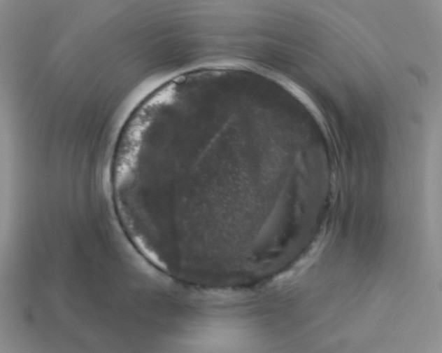 X0000113270959200910011425