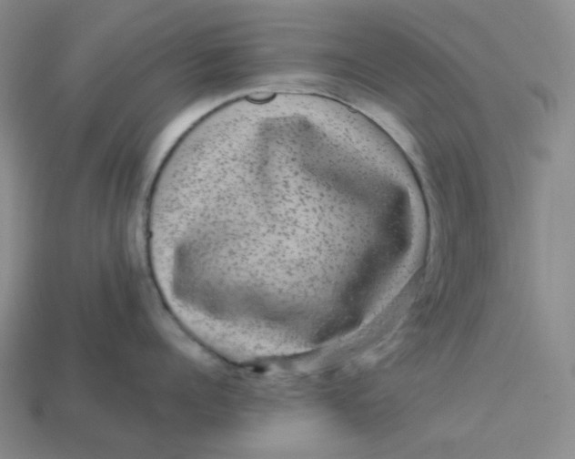 X0000113270960200910011425