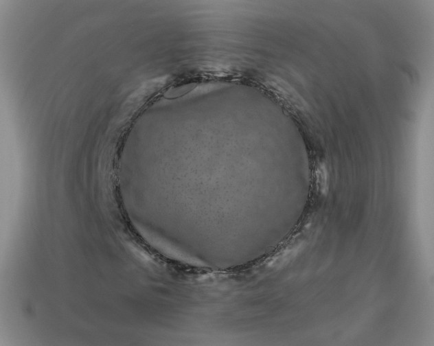 X0000113270961200910011424