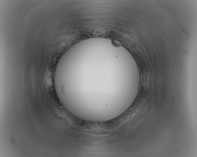 X0000113270962200910011424