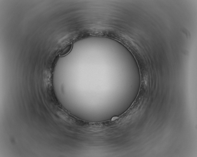 X0000113270964200910011424