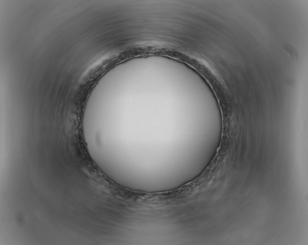 X0000113270967200910011424