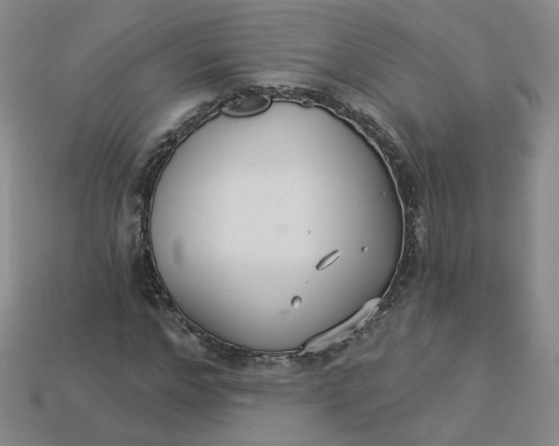 X0000113270968200910011424