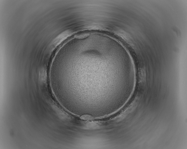 X0000113270969200910011424