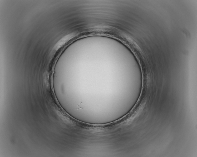 X0000113270970200910011424