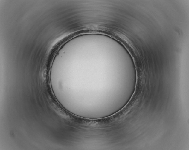 X0000113270971200910011424