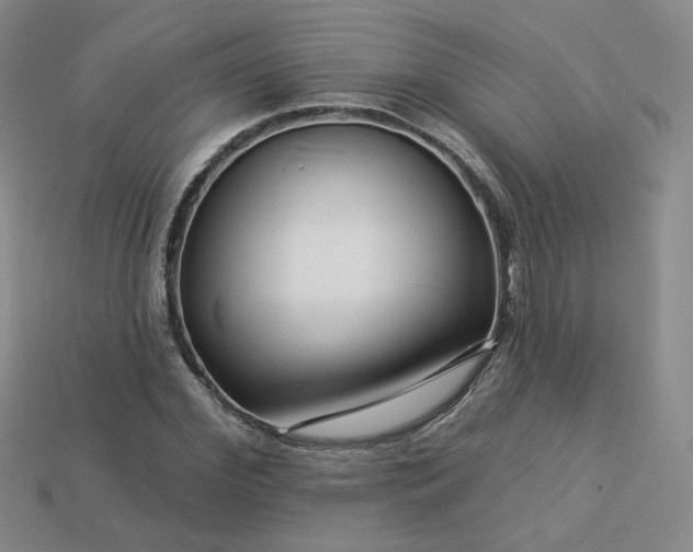 X0000113270972200910011424