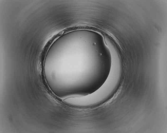 X0000113270973200910011424