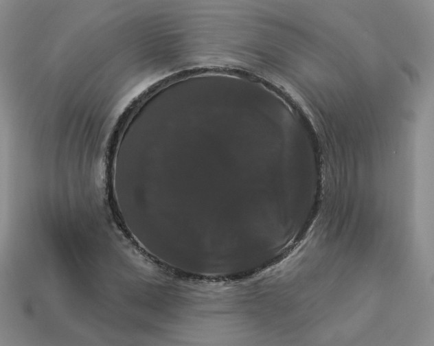 X0000113270975200910011424