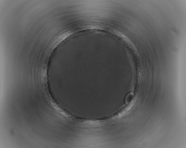 X0000113270977200910011424