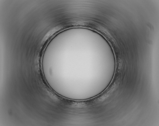 X0000113270978200910011424