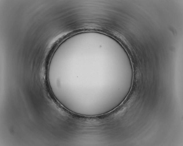 X0000113270979200910011424