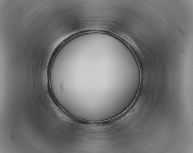 X0000113270980200910011424