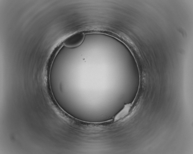 X0000113270981200910011424