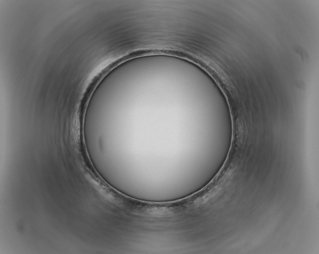 X0000113270982200910011424