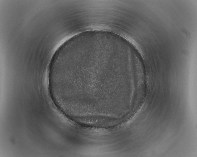 X0000113270983200910011424