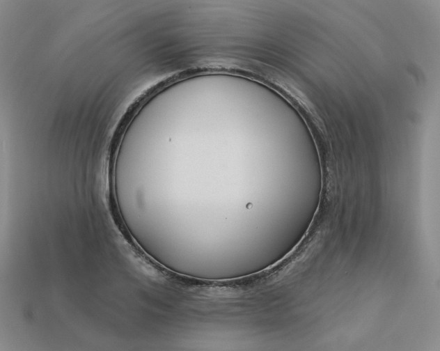 X0000113270984200910011424