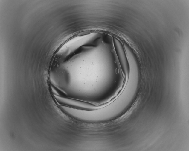 X0000113270985200910011424