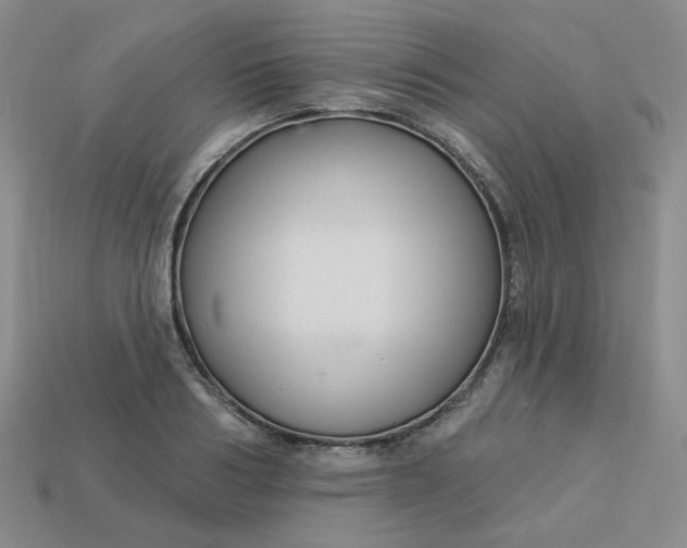 X0000113270986200910011424