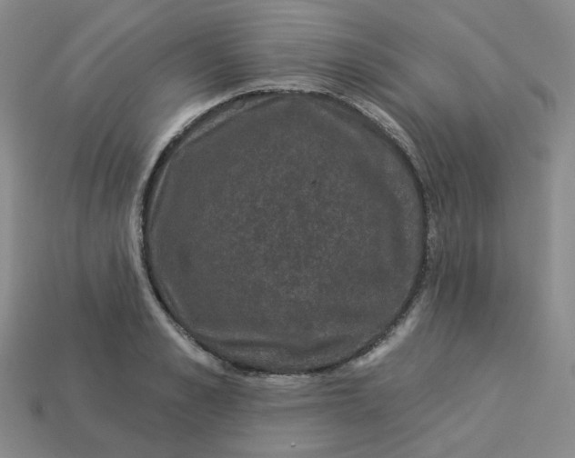 X0000113270989200910011424