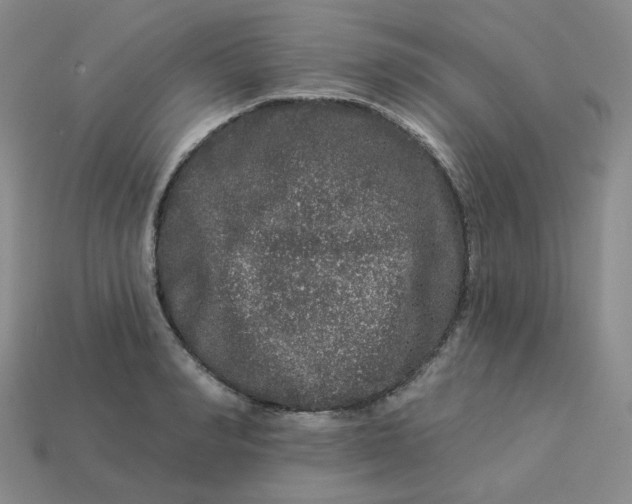 X0000113270990200910011424