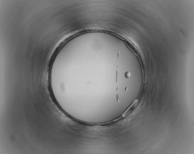 X0000113270992200910011424