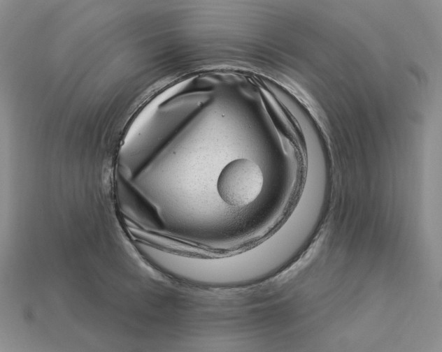 X0000113270993200910011424