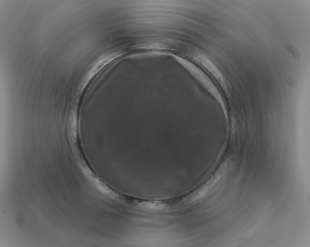 X0000113270994200910011424