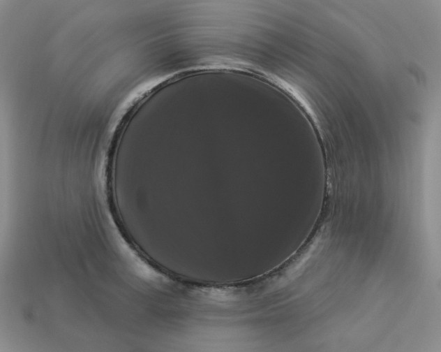 X0000113270995200910011424