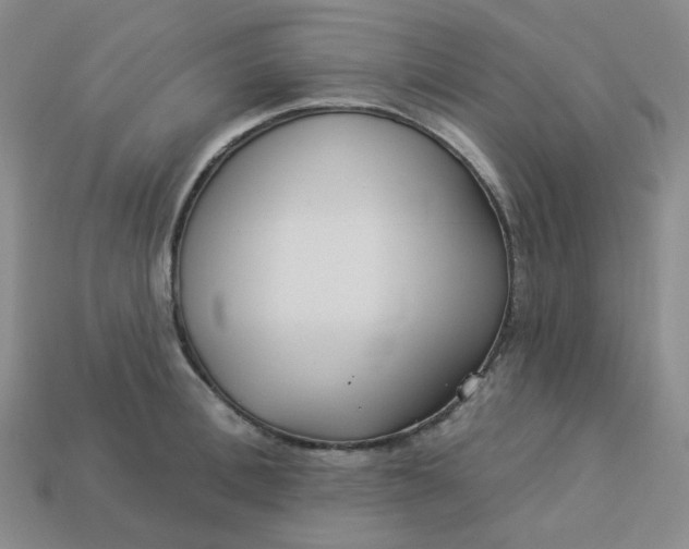 X0000113270996200910011424