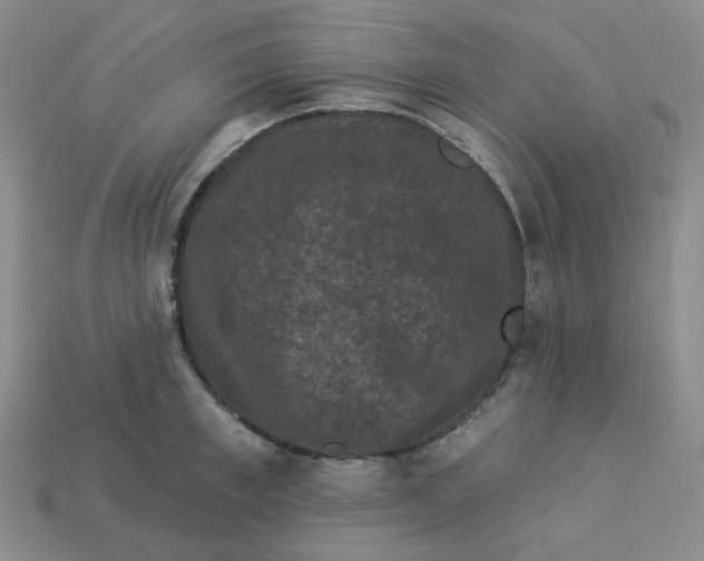 X0000113270997200910011424