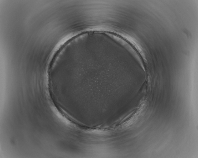 X0000113270998200910011424