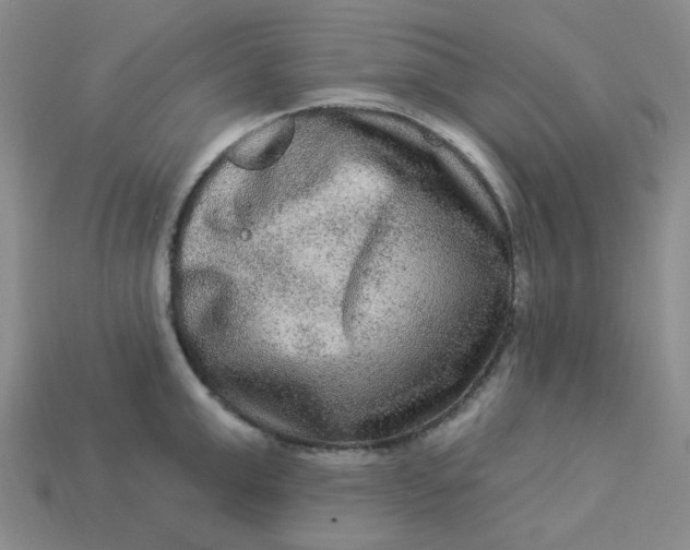 X0000113270999200910011424