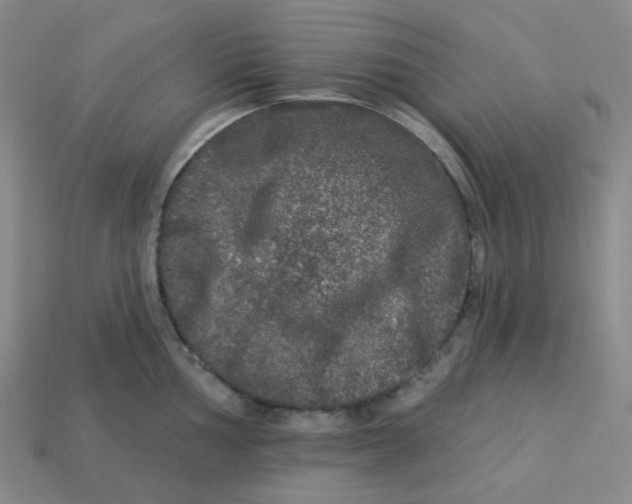 X0000113271002200910011424